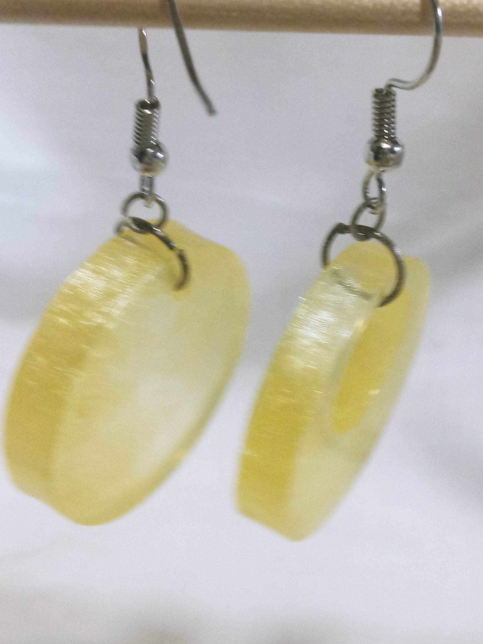 Resin Hanging Earrings